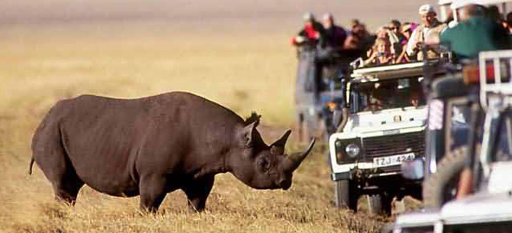 THE NORTHERN SAFARI CIRCUITE MKOMANZI AND SAADANI NATIONAL PARKS